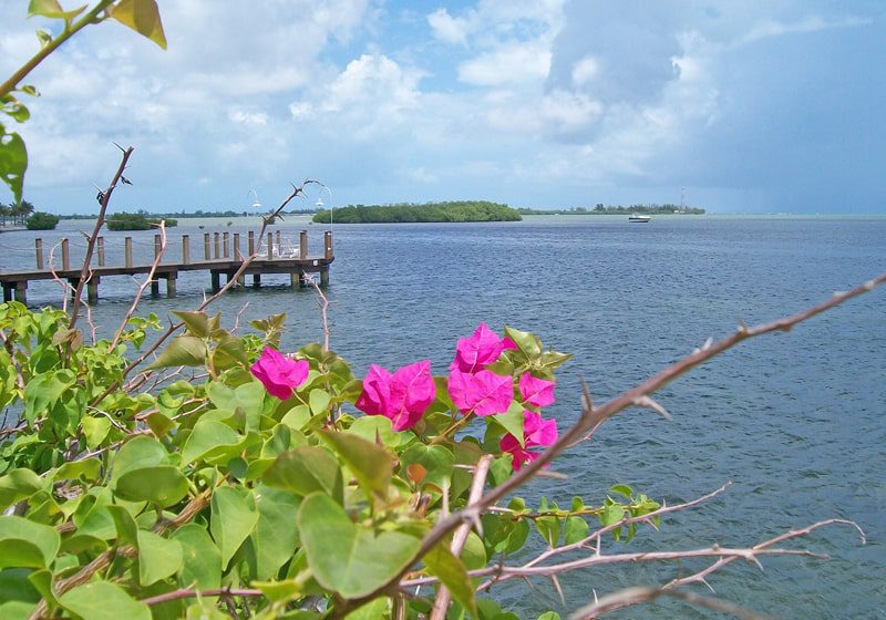 US islands to visit