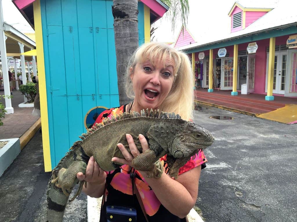 Bahamas on a budget