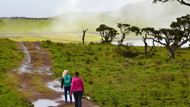 Baby Boomer Travel Trends