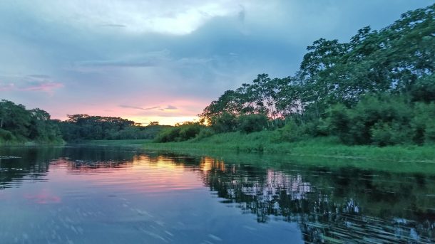 Delfin Amazon cruise