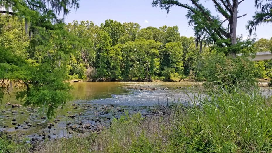 things to do in Albany GA