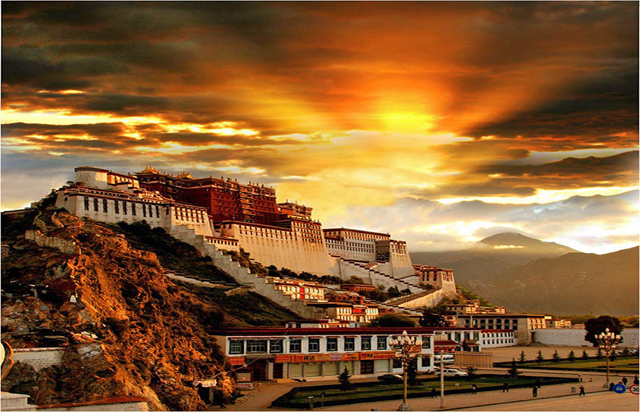 lhasa