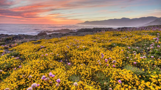 california north coast