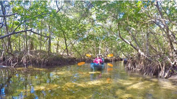 outdoor activities in sarasota