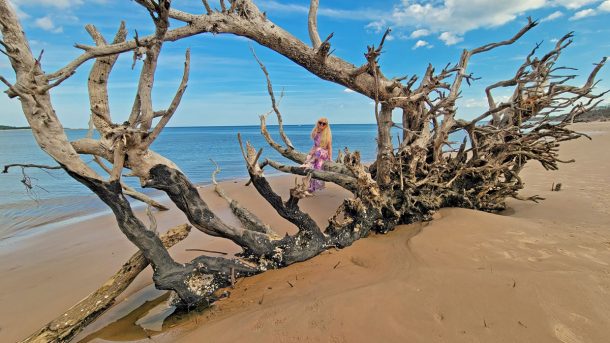 boneyard beach