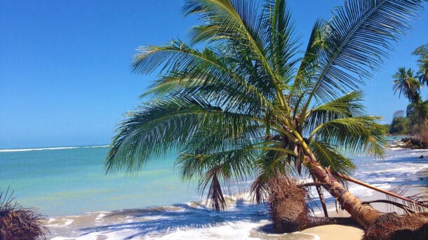 beaches in tamarindo costa rica