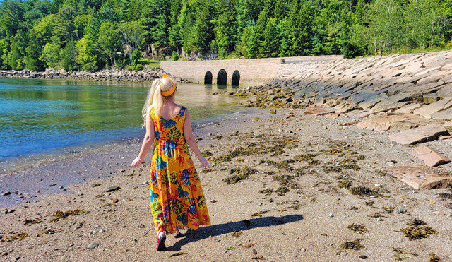 otter cove