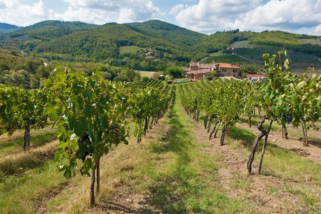 best things to do in tuscany
