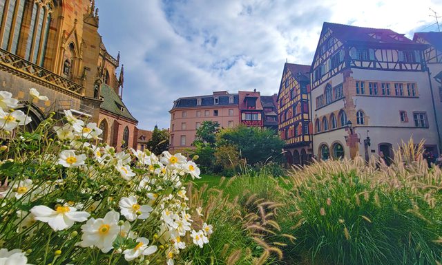 colmar