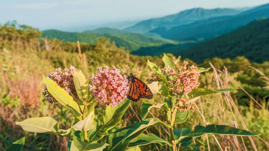 best places to visit in virginia