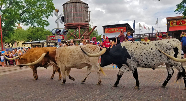 stockyard