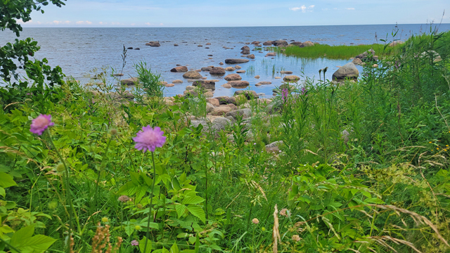 altja fishing village