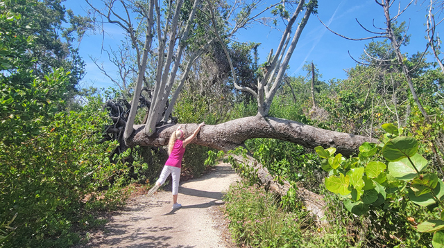 things to do on anna maria island