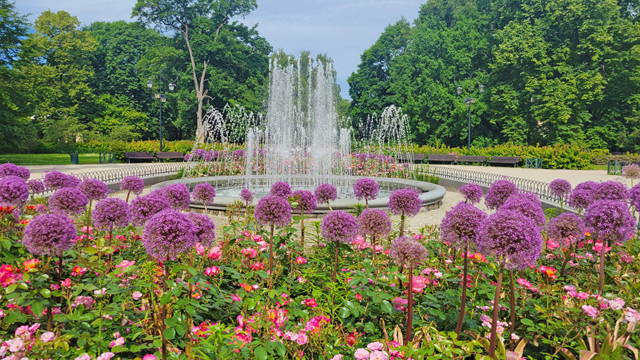 bernadine garden