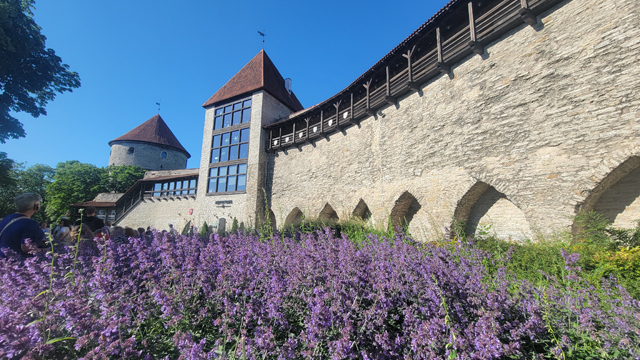 danish king's garden