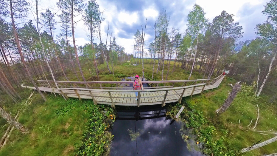 viru bog