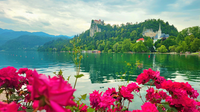 bled castle
