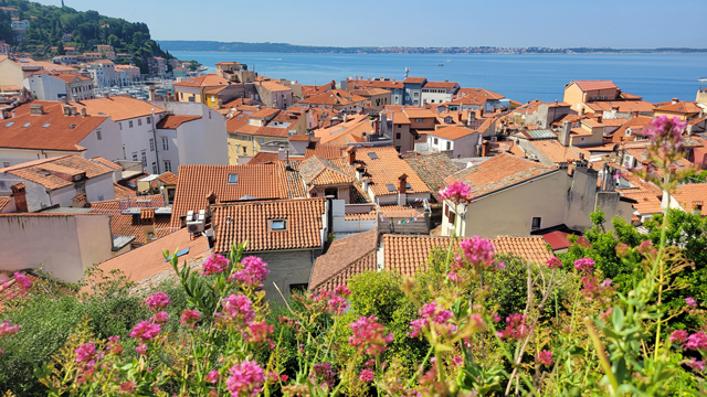 piran