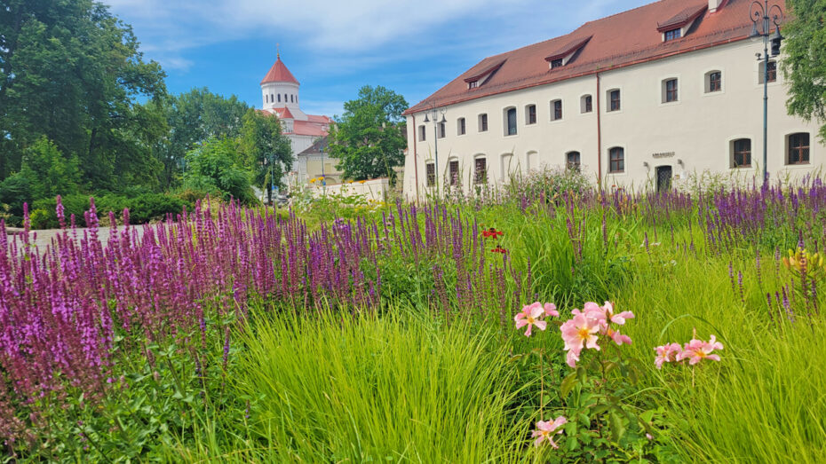 vilnius