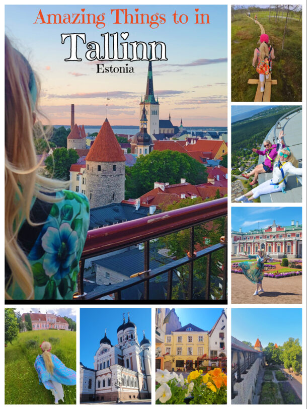 things to do in tallinn