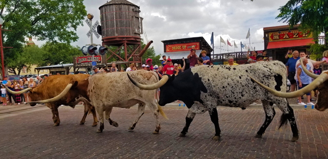 ft worth stockyard